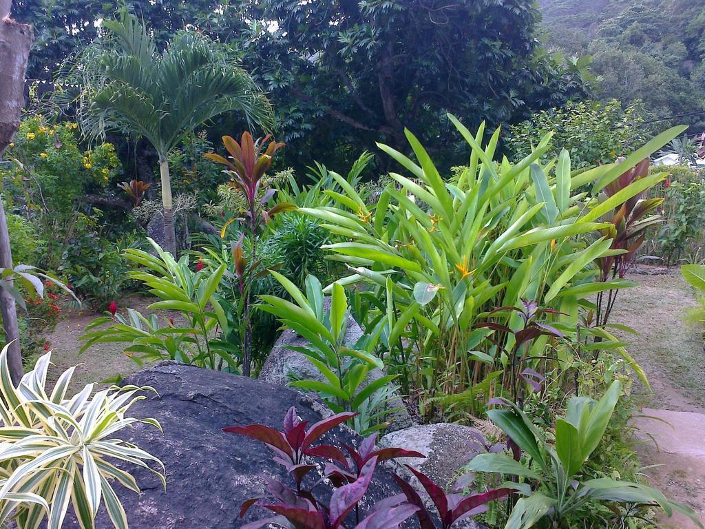 Liane De Mai Acomodação com café da manhã La Digue Exterior foto
